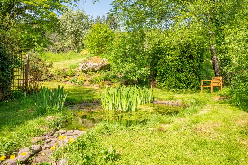 Garden- click for photo gallery